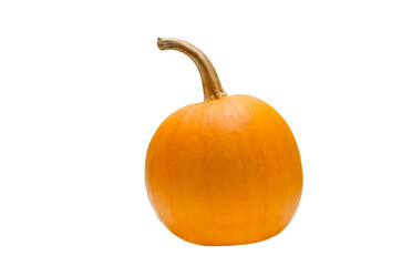 Orange pumpkin on white background