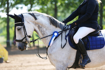  Equestrian sports and victory. Riding a horse. Equestrian background.