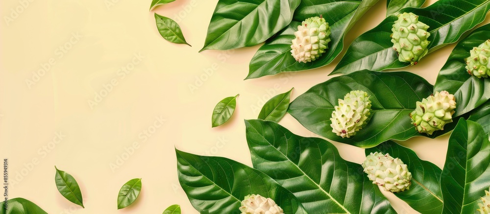 Poster Fresh noni overlapping on noni leaves Isolated on pastel background. Copy space image. Place for adding text and design