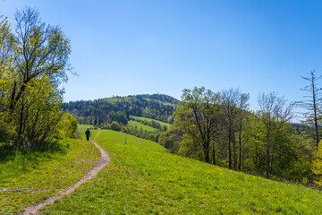 A hiker strolls a path towards Kozakov Mountain in Bohemian Paradise, Czechia, enjoying views of rolling hills and lush forests along the way.