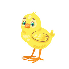 Funny little chicken. Isolated on white background. Vector flat illustration.