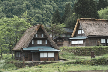 建ち並ぶ合掌造りの建物