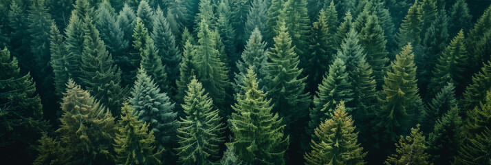 Top view of the forest. Green spruce trees from above. Photo generated using AI