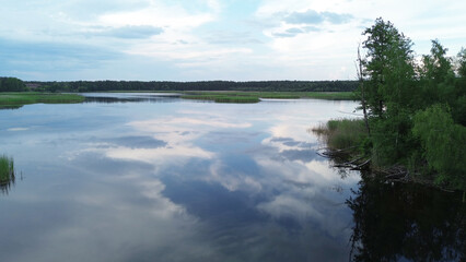 Aerial view of lush forest with lake