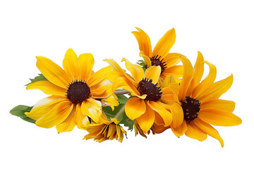 yellow flowers isolated on transparent background png