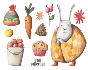 Cozy autumn elements hand painted set. Cold weather clipart collection