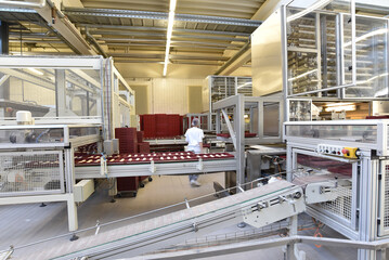 industrial production of bakery products on an assembly line - technology and machinery in the food...