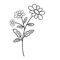 Wild flowers illustration