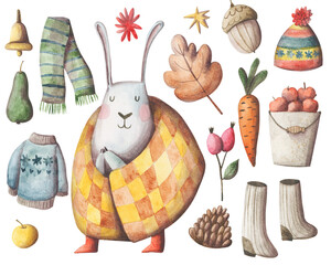 Cozy autumn elements hand painted set. Cold weather clipart collection