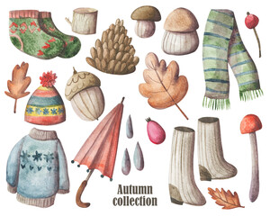 Cozy autumn elements hand painted set. Cold weather clipart collection