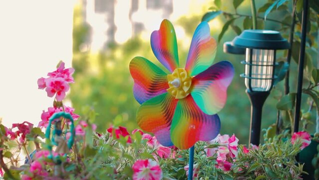 Wind rose spinning in balcony.
Rainbow windmill, toy pinwheel 
