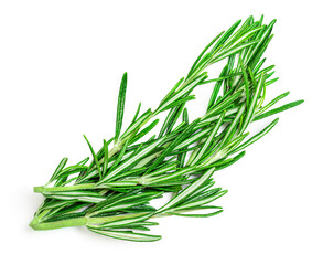 Rosemary twig and leaves isolated on white background. Fresh Rosmary bunch .Top view. Herbs Flat lay.