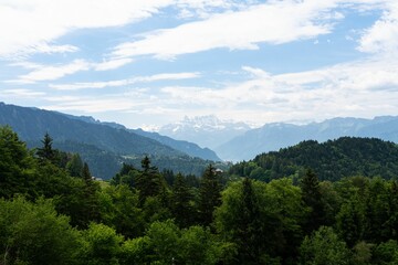 Obraz premium Beautiful landscape of a mountain range with a blue sky and green forest. Les Avants, Switzerland