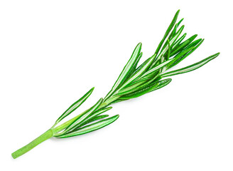 Fototapeta premium Rosemary twig and leaves isolated on white background. Fresh Rosmary bunch&nbsp;.Top view. Herbs Flat lay.