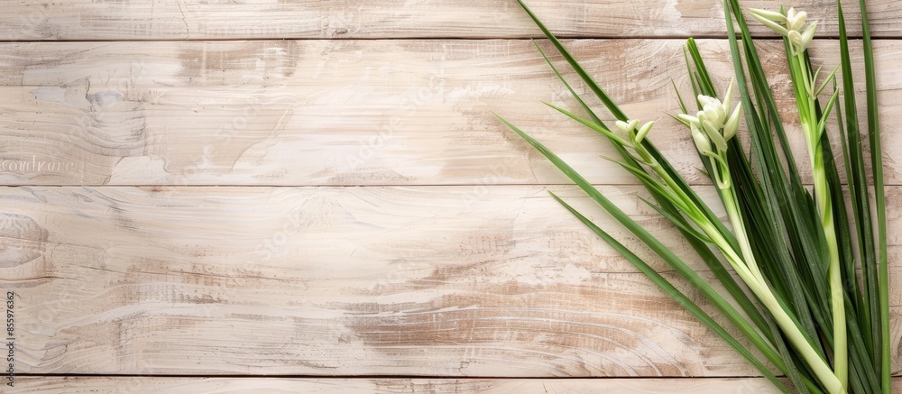 Wall mural lemon grass isolated on a wooden bg pastel background. copy space image. place for adding text and d
