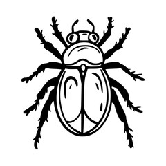 Doodle Bug. Insect. A magical object. Sketch