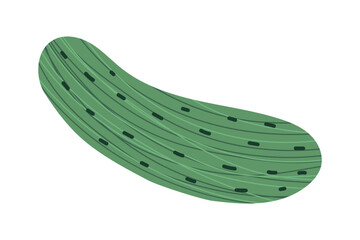 Green cucumber with pimples and texture. Stylized vegetable. Isolated vector illustration for your design