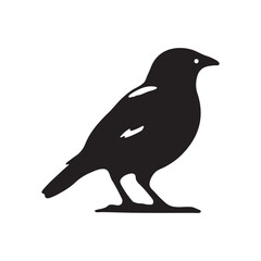 Bird Silhouette illustration Vector Art