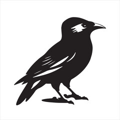 Bird Silhouette Vector Art