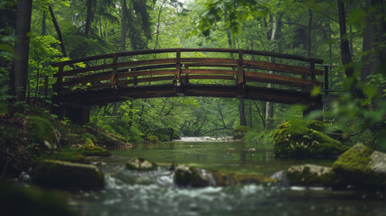 Fototapeta premium A bridge over a river in the forest