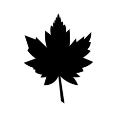 Black leaf illustration with typography model