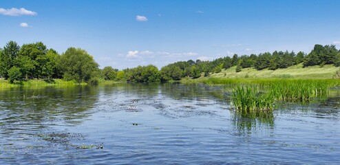 Summer landscape with lake and trees, lake and forest, landscape with blue sky and clouds, landscape with river, trees on the river