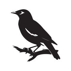 Bird On Branch Silhouette Vector Art illustration