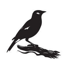 Bird On Branch Vector Art illustration