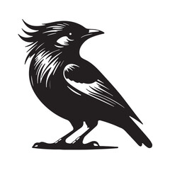 Bird On Branch Silhouette Vector illustration