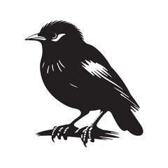 Bird On Branch Vector Art Silhouette