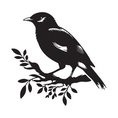 Silhouette Bird On Branch Vector Art illustration