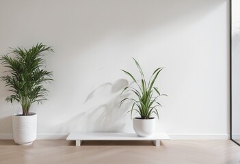 Modern Minimalist Showcase Design