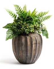 An isolated vintage flower pot with a cactus bush is displayed on a white background