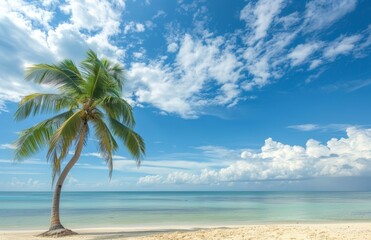 Blue sky and soft clouds with coconut tree on sandy beach Summer background