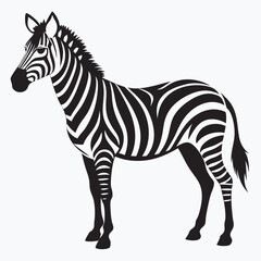 zebra vector illustration