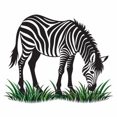 zebra with green grass