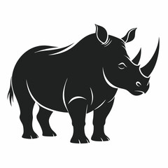 rhino isolated on white