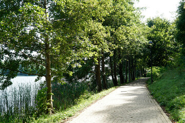 Fototapeta premium Footpath at Galve lake shore - Trakai, Lithuania