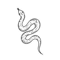 Snake in line style. Hand drawn vector illustration.