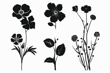 Set of Stylized Floral Silhouettes Black Flower and Plant Outlines on White Background, Perfect for Minimalist Designs and Artistic Projects