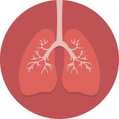 Lung human icon,  healthy lungs anatomy flat medical organ icon