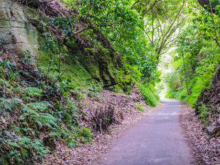 【神奈川県】鎌倉市・亀ケ谷坂切通