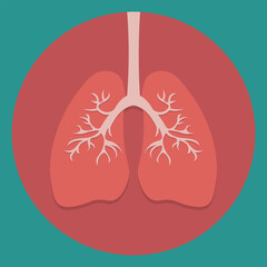 Human lungs on blue-green background.