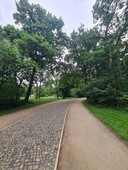 sidewalk in the ''Treptower Park'', a parc in Berlin (Treptow/Köpenick) - Germany