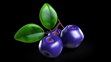 A cluster of ripe blueberries on a branch with green leaves isolated on a black background.