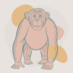 simple monkey illustration