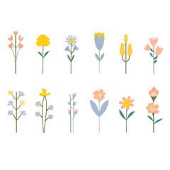A delightful collection of floral illustrations showcasing a variety of colorful flowers in a modern, minimalist style. Ideal for spring and summer designs, seasonal celebrations, and festive decorati