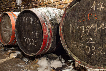 wine barrels in a cellar