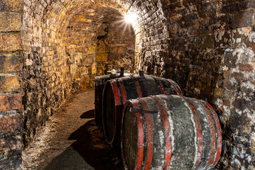 old wine barrels