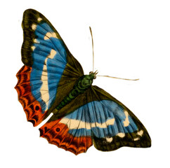 Vintage Illustration Of A Butterfly With Transparent Background, Blue And Red Butterfly With Open Wings, Macro